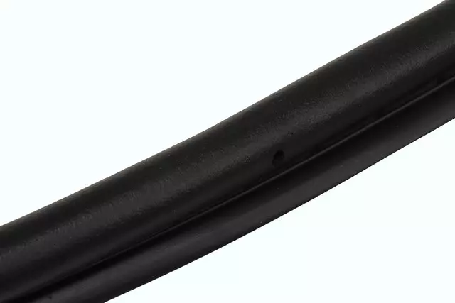 Rear Driver Side Door Weatherstrip - GM (84222071)
