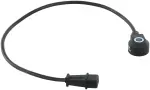 AS10329 - : Ignition Knock (Detonation) Sensor for DELPHI Image