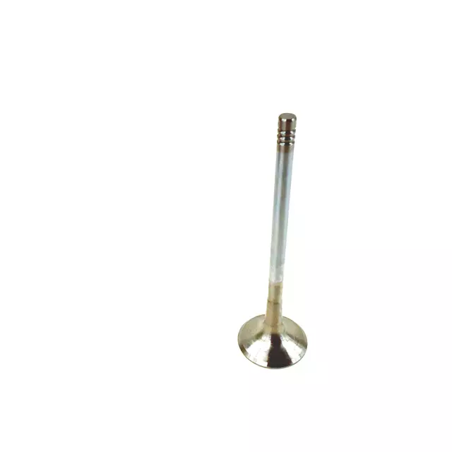 58109611M - Engine: Exhaust Valve for Audi: A4, A4 Quattro, A6, A6 Quattro Image