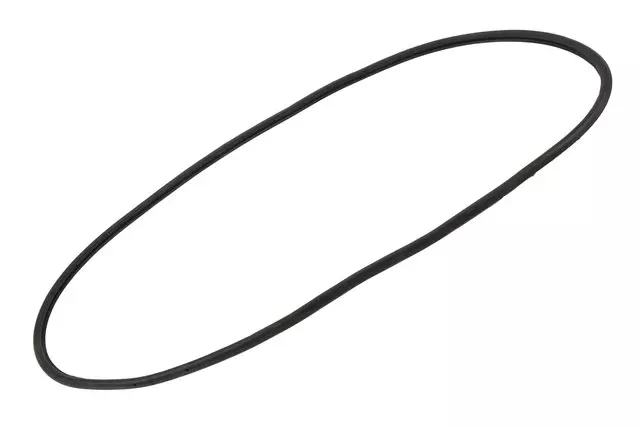Door Weather-Strip - GM (22973972)
