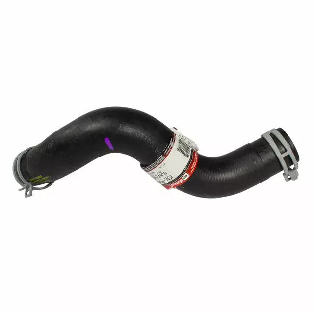 8L8Z8286A - Cooling System: Lower Hose for FORD Image