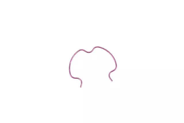 89023418 - : Radiator Outlet Hose Clamp Retainer for Chevrolet: Express 1500, Express 2500, Express 3500 | GMC: Savana 1500, Savana 2500, Savana 3500 Image