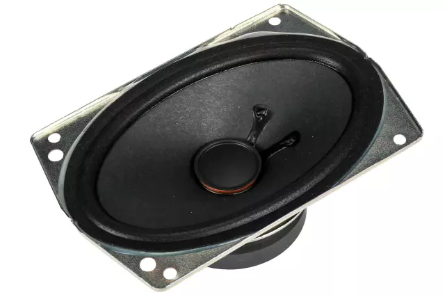 Rear Speaker - GM (95208015)