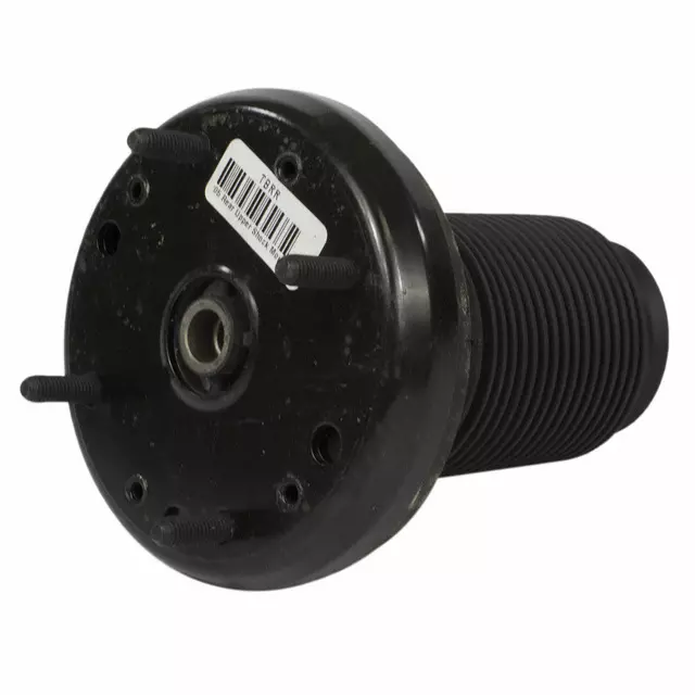 3W6Z18197AA - Suspension: Shock Mount for Ford: Thunderbird Image
