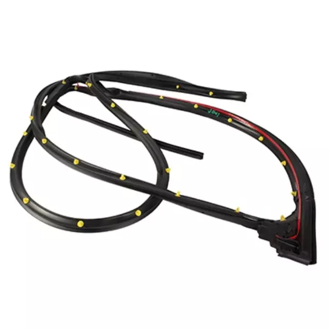 Door Weather-Strip - Ford (FL3Z-1625324-A)