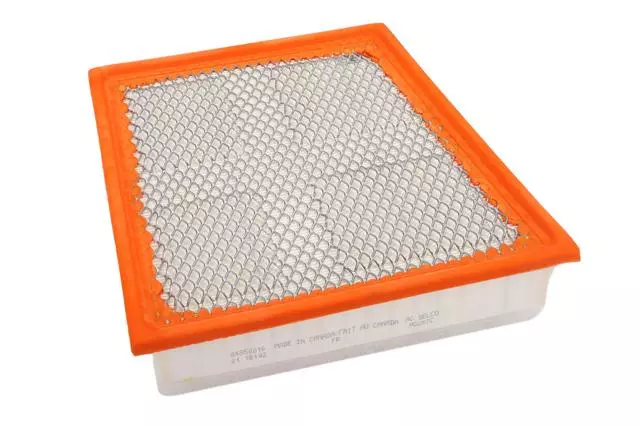 Acdelco™ Air Filter - GM (A3257C)