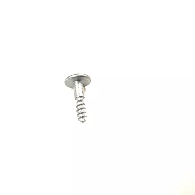 Fog Lamp Assembly Screw - Audi (8H0-807-199-A)