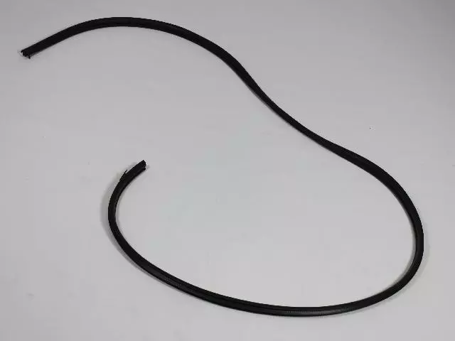 Front Door Opening Weatherstrip, Left - Mopar (5076863AG)