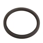 3909 - : National 3909 Engine Crankshaft Seal for National Bearings Image