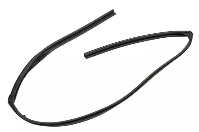 Window Trim - GM (22751685)