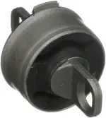 TD4798W - : Suspension Trailing Arm Bushing for DELPHI Image