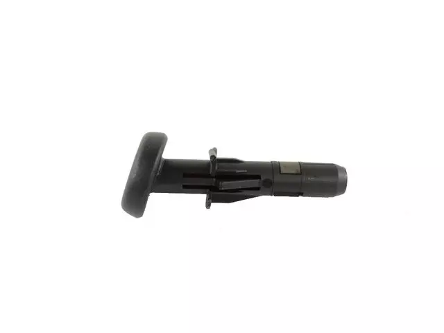 Headrest Sleeve, Left Inner - Alfa Romeo (68336038AA)
