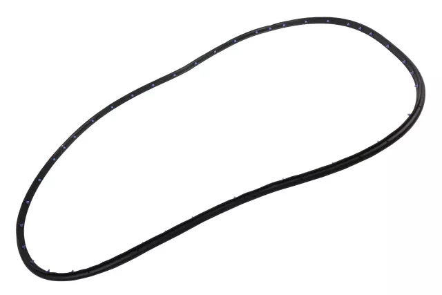 Front Passenger Side Door Weatherstrip - GM (84576685)