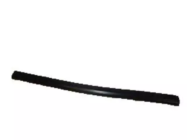 Door Weather-Strip - Ford (XL3Z-1820531-AA)