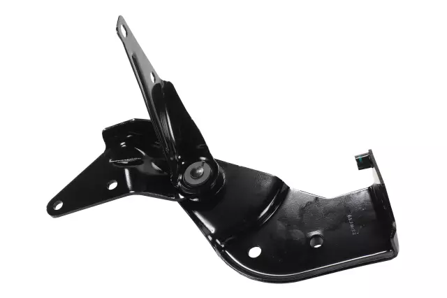 Hinge - GM (84011174)