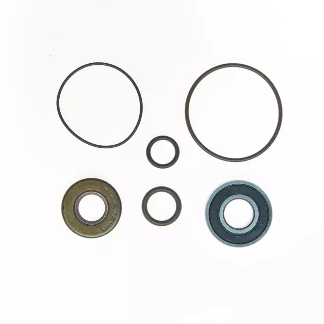 8900 - : PUMP COMPLETE REBUILD KIT for Edelmann Image
