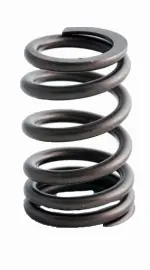 ERV1446 - : Engine Valve Spring for Enginetech Image