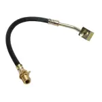 19174206 - : Hose for GM Image