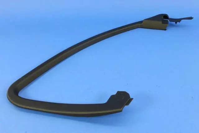 Front Door Molding, Left - Mopar (1YE88DX9AB)