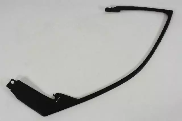 Front Door Molding, Left - Mopar (1TT99DX9AB)