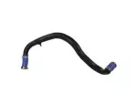 HL3Z6C646A - : Lower Hose for Ford: F-150 Image