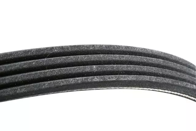 AC Belt - GM (12636224)