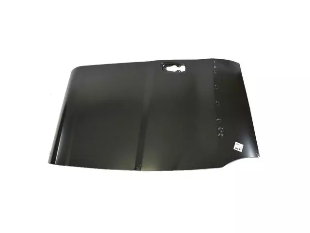 68266390AA - : Rear Door Outer Repair Panel, Right for Mopar Image