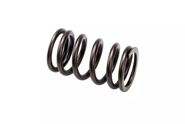 97311669 - : F Spring for GM Image