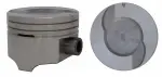 P3017650 - : Engine Piston Set for Enginetech Image