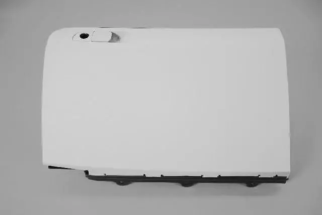 Instrument Panel Glove Box - Mopar (1TM95HL9AG)