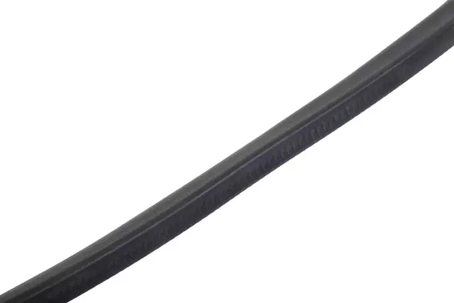 Sunroof Window Seal - GM (84110475)