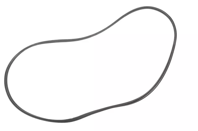 Sunroof Glass Seal - GM (15842998)