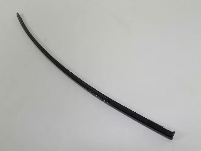 YA00P41AA - Exterior  Ornamentation: Drip Rail Molding, Right for Mopar Image