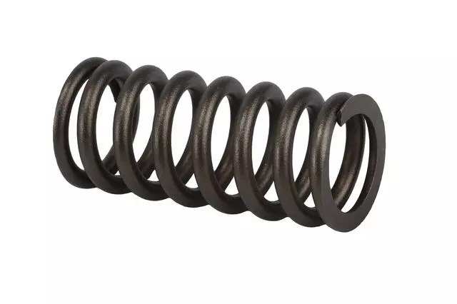 Engine Valve Spring - GM (12636319)