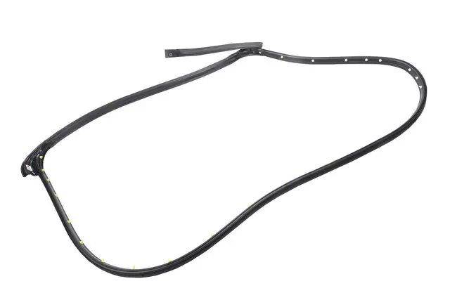 Passenger Side Rear Door Weatherstrip - GM (22960753)