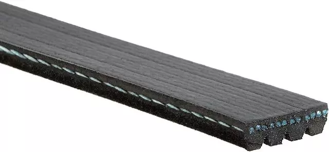 Belt - GM (88932554)