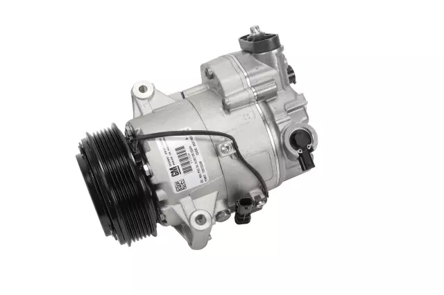 Air Conditioning Compressor and Clutch Assembly - GM (39053421)