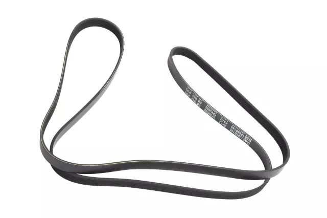 12668146 - : V-Ribbed Serpentine Belt for GM Image