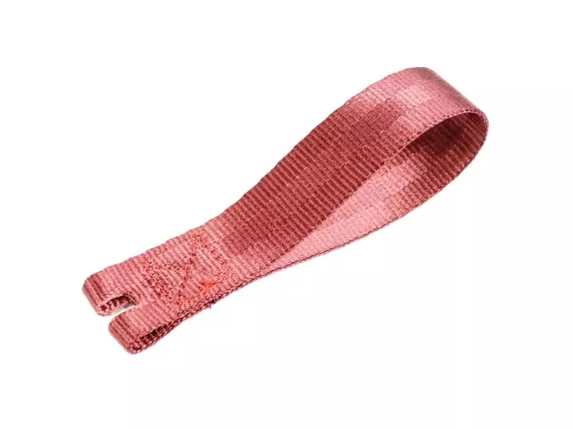 1VL64LR9AA - Interior Trim: Assist Strap for Dodge: Challenger, Charger Image