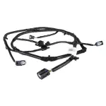 M2DZ15K867K - : 2021-2024 Ford Bronco - Wire Harness for Ford: Bronco Image