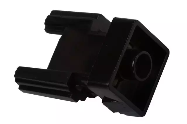 22880316 - Body: Courtesy Lamp for GM Image