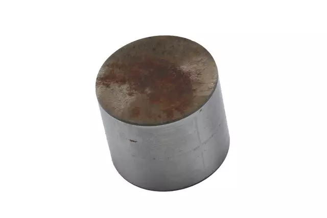 Engine Valve Lifter - GM (55353782)