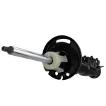 AST84820 - Suspension: Motorcraftâ„¢ Strut for Ford: EcoSport Image