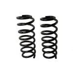 81771 - : Coil Spring Set for Moog Image