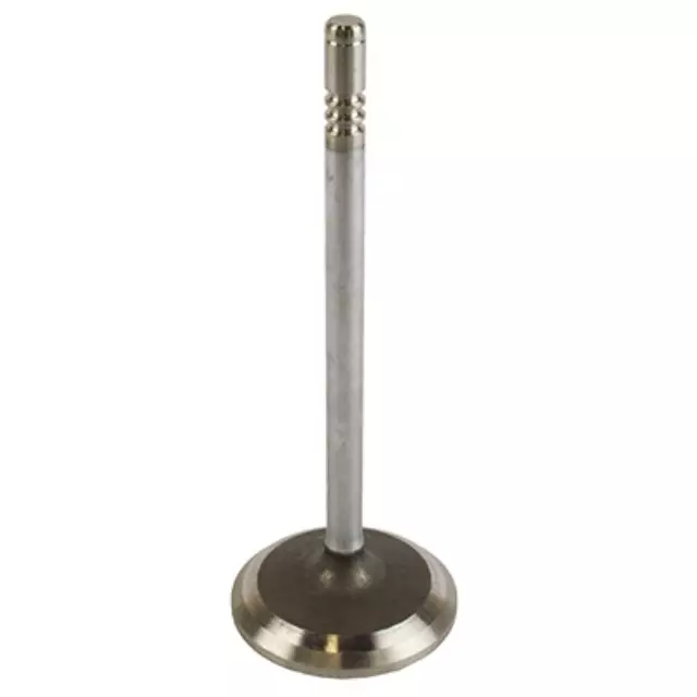 Engine Intake Valve - Ford (xl3z6507ba)