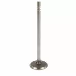 HC4Z6507A - : Engine Intake Valve for Ford Image