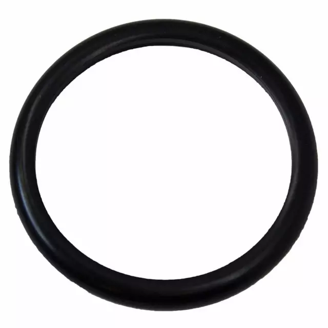 W700319S300 - : Engine Coolant Thermostat Gasket for Ford: Contour, Escort, Focus | Mercury: Cougar, Mystique Image