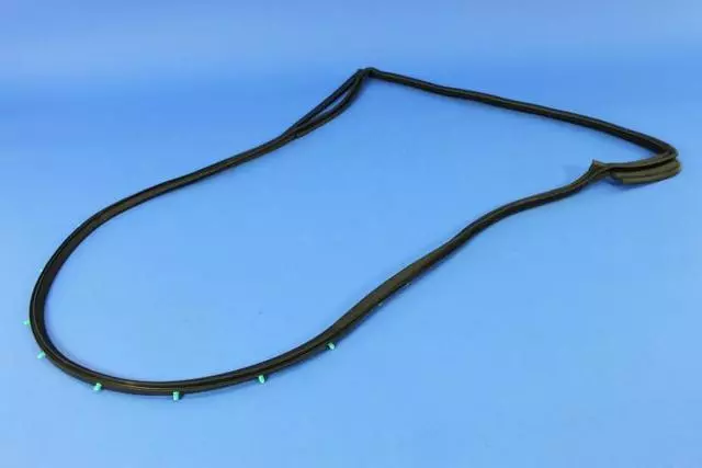 Rear Door Mounted Weatherstrip, Right - Mopar (68040046AO)