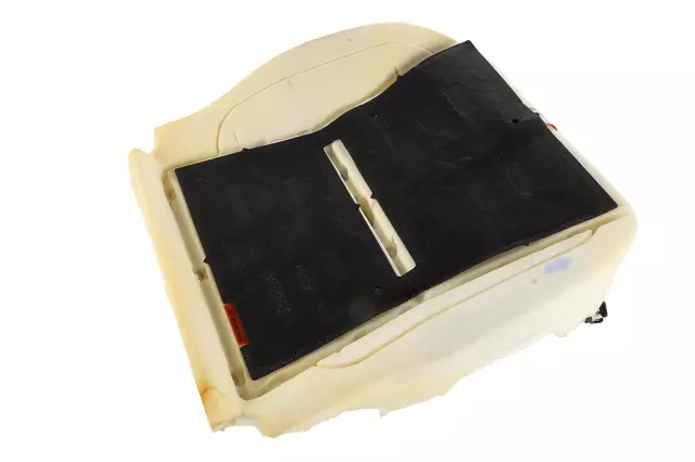 Airbag Front Passenger Presence Module - GM (22787769)