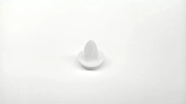 909130115 - Body: Wheel Flare Clip for Subaru: Ascent, Crosstrek, Forester, Impreza, Legacy, Outback, XV Crosstrek Image